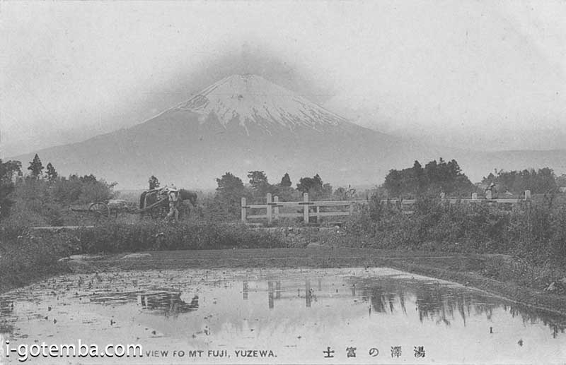 湯沢から見る富士山